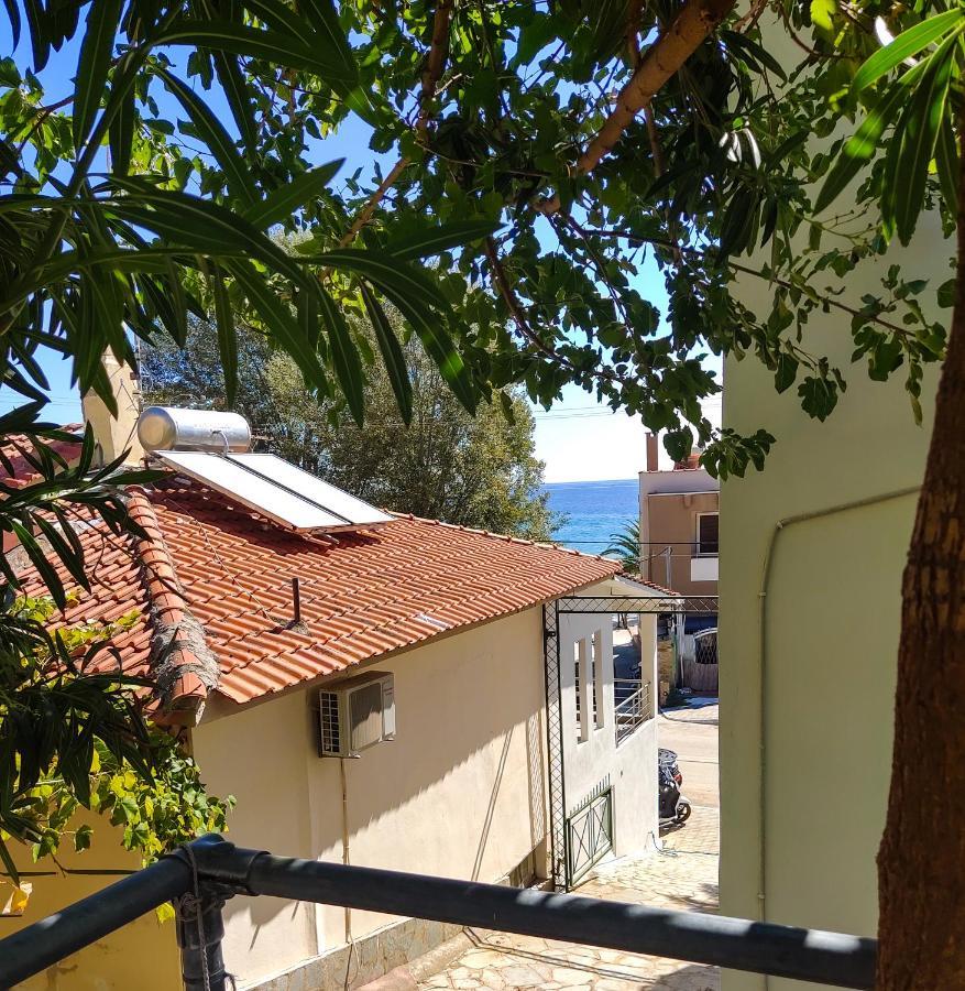 Ellinas Hotel Chrysi Ammoudia Exterior photo